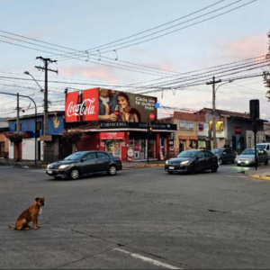 349 Chacabuco
